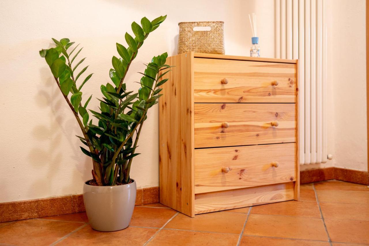 10 Minuti Dal Mare⋆⋆⋆⋆⋆ Borgo Storico Ligure Apartment Lingueglietta Ngoại thất bức ảnh